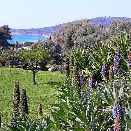 A Casa Di Mammo *
